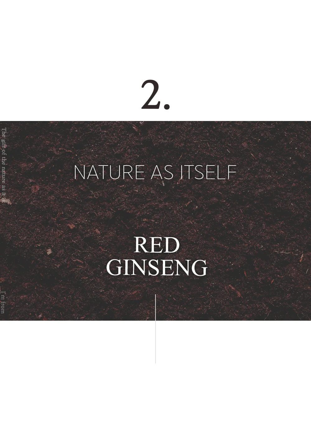 Ginseng Mask (120g) - Image 10