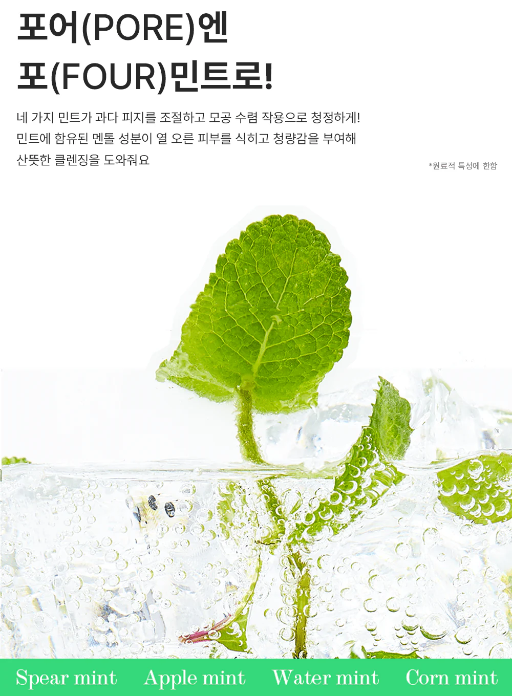 Green Mint Pore Cleansing Foam (150ml) - Image 5