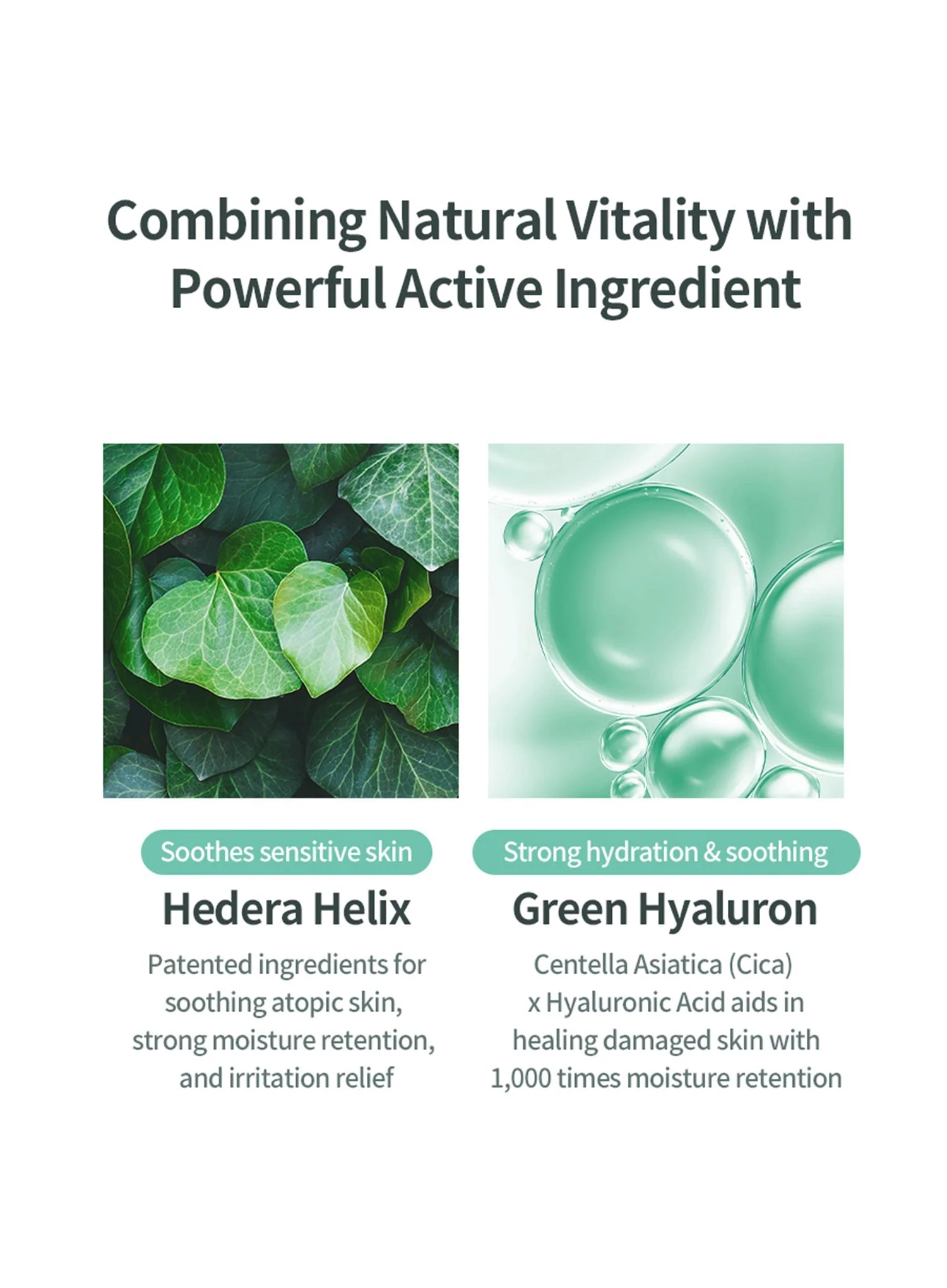Hedera Helix Green Hyaluron 6s Moisture Cream (50ml) - Image 7