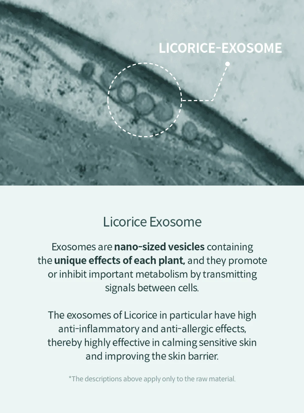 Licorice Soothing Ampoule (30ml) - Image 6