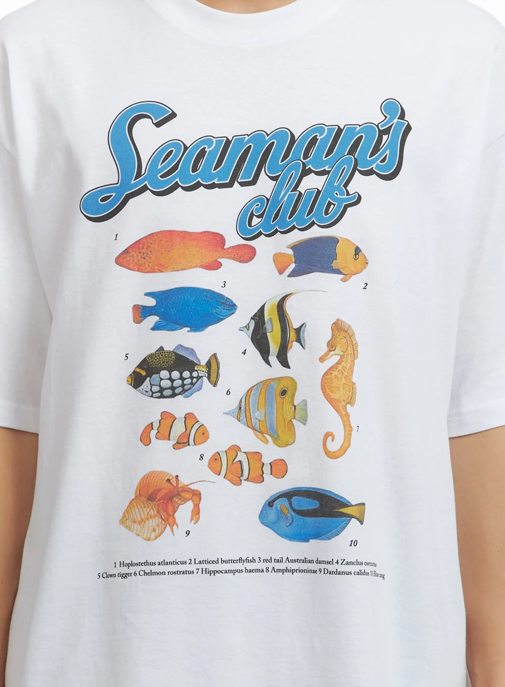 Men's Graphic Cotton  T-Shirt CL429 - Image 3