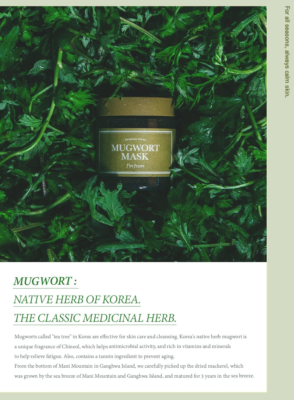 Mugwort Mask (110g) - Image 9