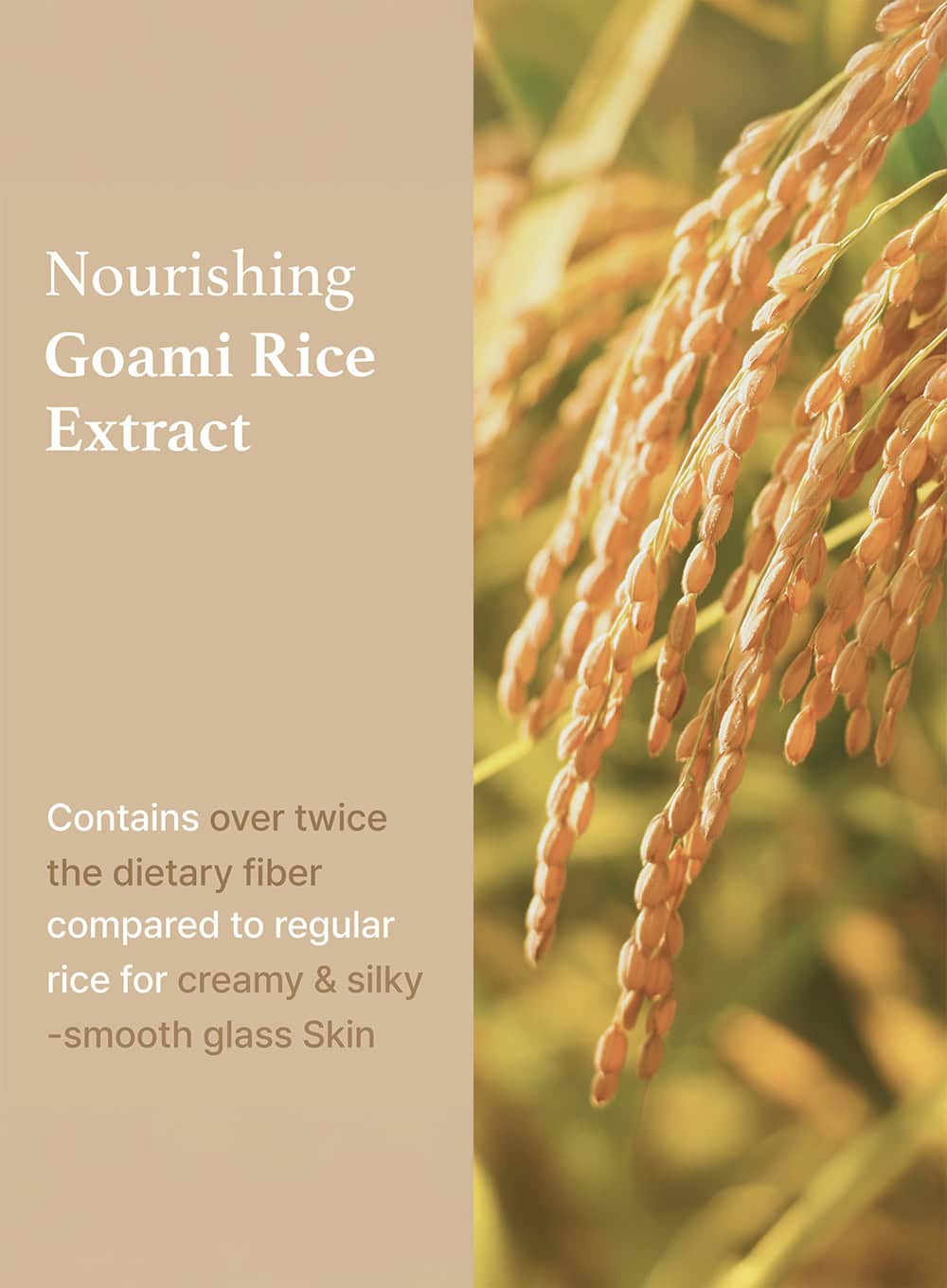Rice Sheet Mask (20 ml / 1ea) - Image 5