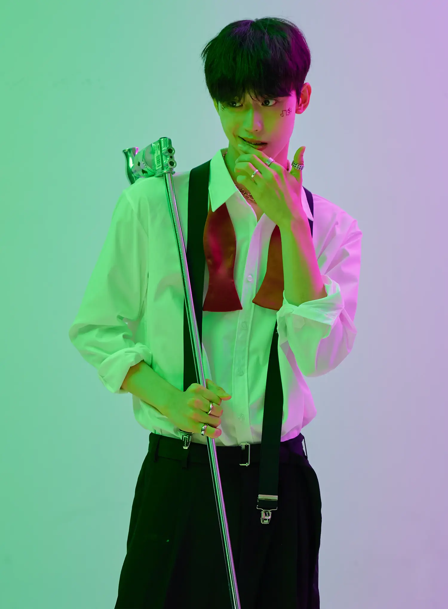 Shaped Bow Tie IN503 - Image 3