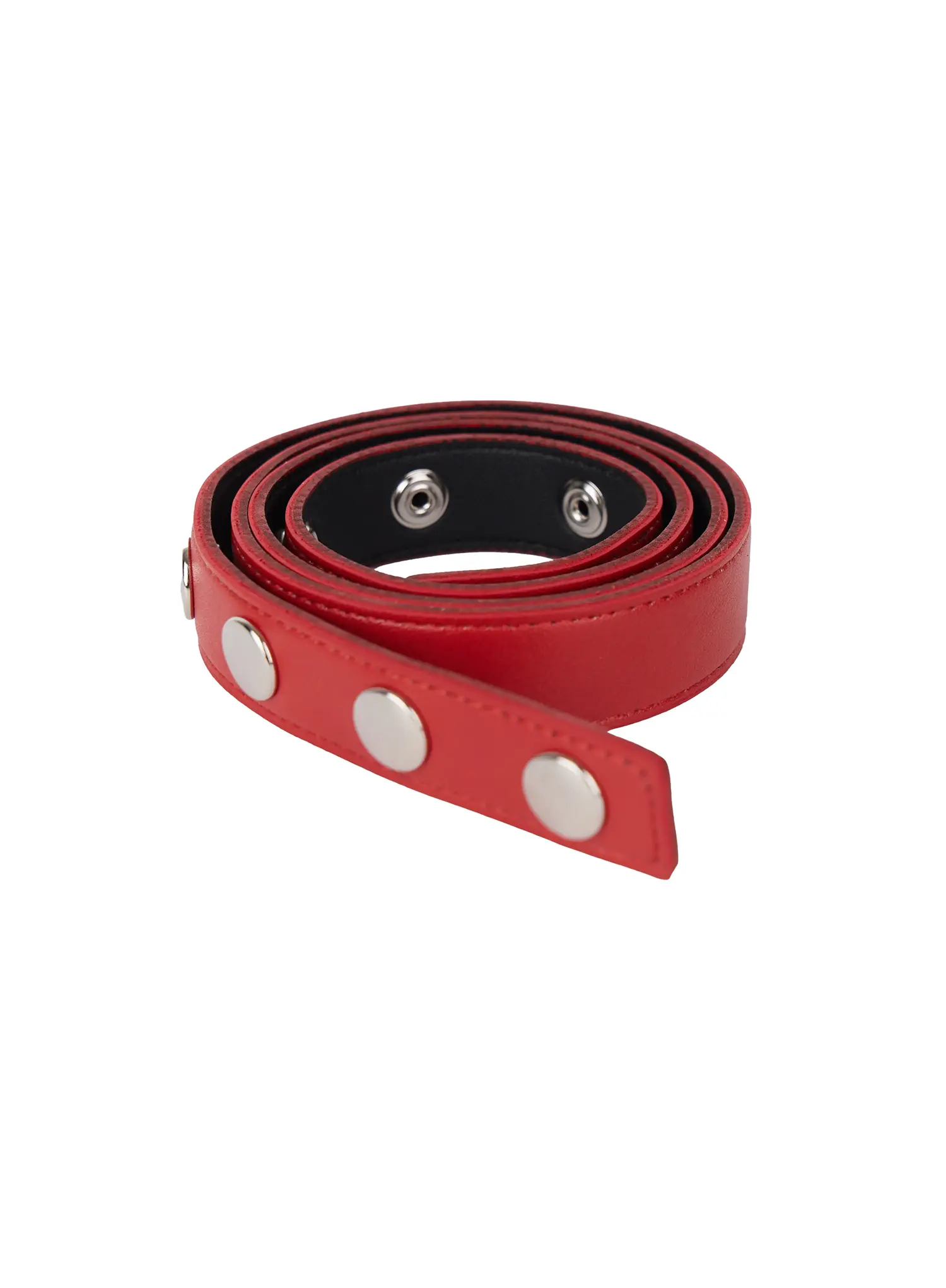 Single-Stud Belt CL528 - Image 11